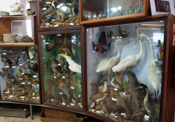 3bird-cabinet2 Rgb-72lpi