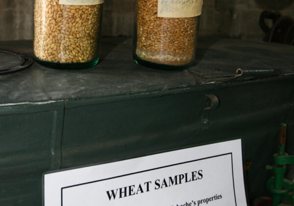 5wheat-samples Rgb-72lpi