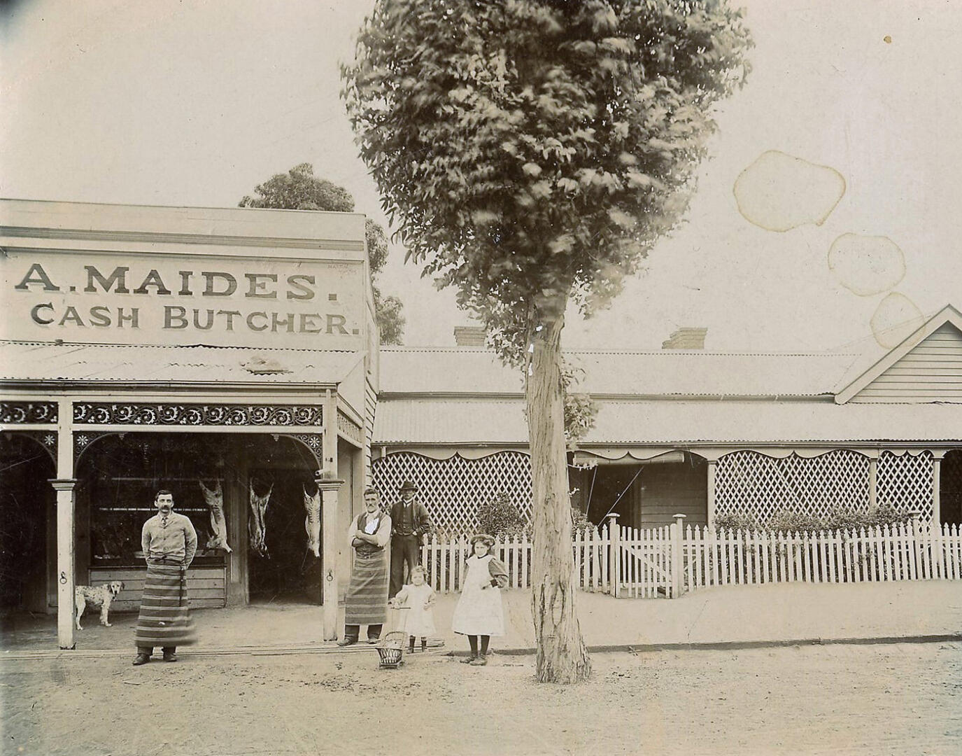Earlybusinesses